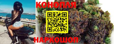 стафф Донской