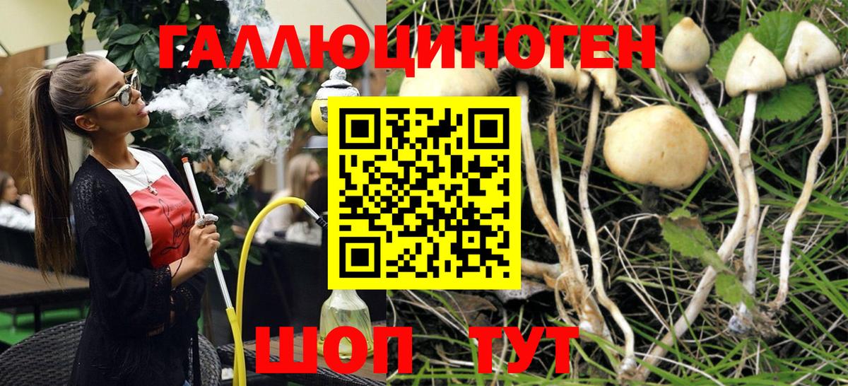 Псилоцибиновые грибы мухоморы Гудермес