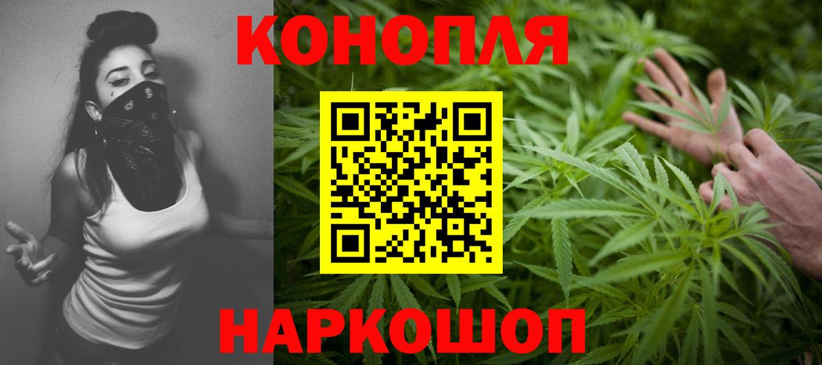 Бошки марихуана индика Гудермес